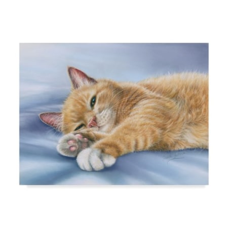 Janet Pidoux 'Jack Cat' Canvas Art,14x19